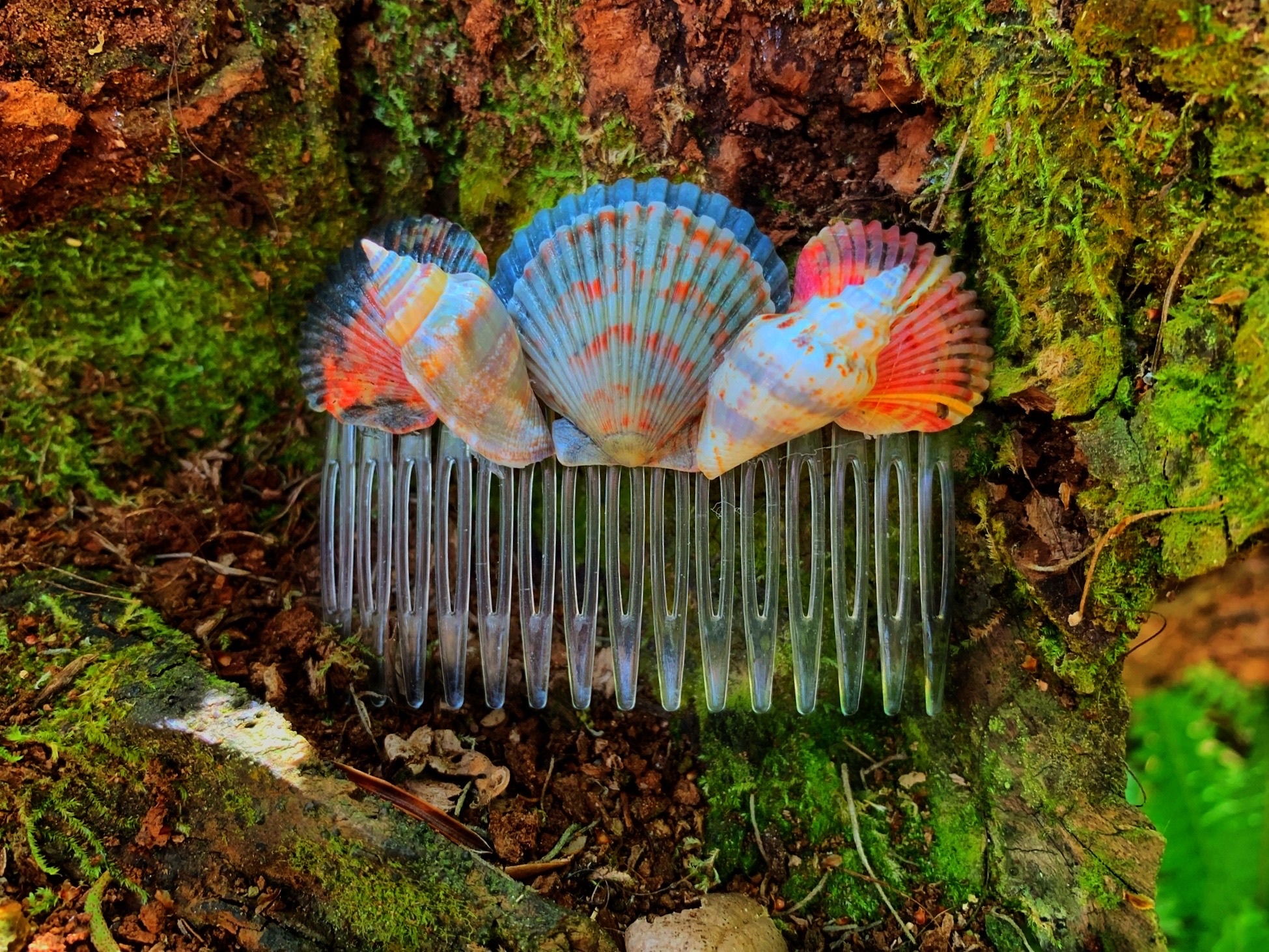 Close up of shell hair comb